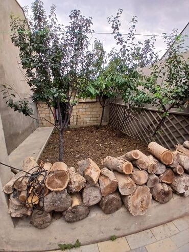 Uzunmüddətli kirayə evlər: 80 kv. m, 3 otaqlı, Qaz, İşıq, Su -da lalafo.az — 12 Uzunmüddətli kirayə evlər: 80 kv. m, 3 otaqlı, Qaz, İşıq, Su — 12