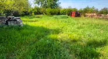 Boşqablar: 4 sot, Kupça (Çıxarış)