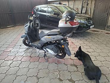 gilera runner: Макси-скутер Tank, 160 куб. см, Бензин, Б/у — 6