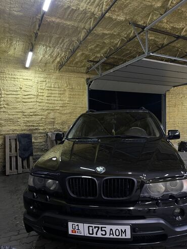 BMW: BMW X5: 2003 г., 4.6 л, Типтроник, Газ, Жол тандабас