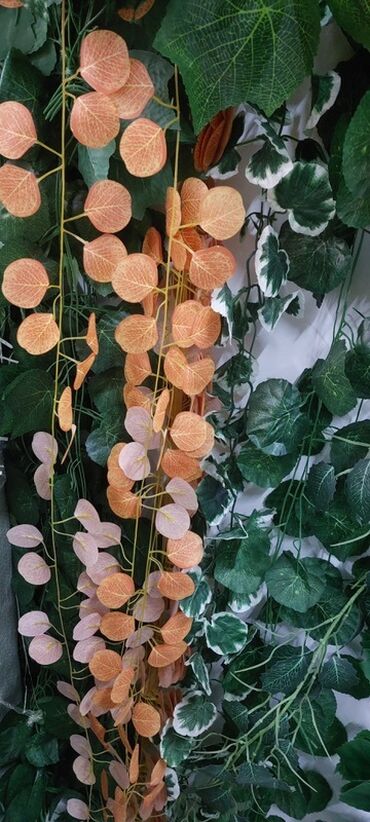 Süni güllər: Məhsul: Dekorativ süni gül kompozisiyaları və vazo/qablar - Yumşaq -da lalafo.az — 28 Süni güllər: Məhsul: Dekorativ süni gül kompozisiyaları və vazo/qablar - Yumşaq — 28