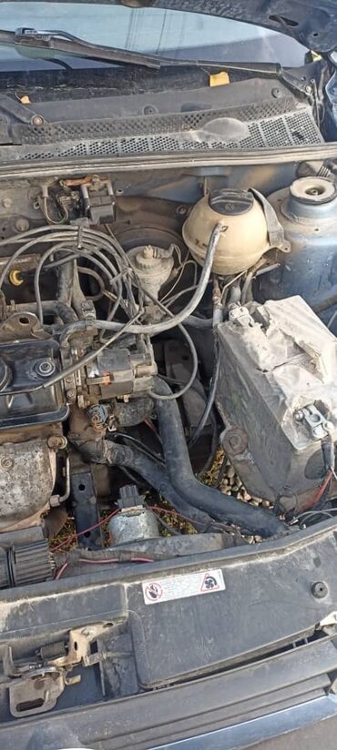Volkswagen: Volkswagen Golf: 1993 г., Бензин, Хэтчбэк