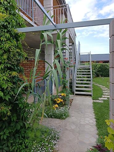 Иссык-Куль 2026: Коттедж, Каджи-Сай — 7