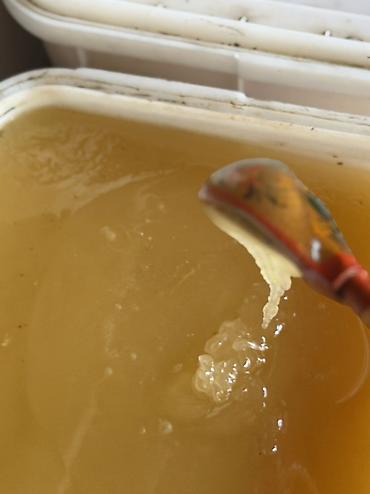 Бал: 🍯 Натуральный мёд — 650 сом за 1 кг Предлагаем натуральный мёд — 3