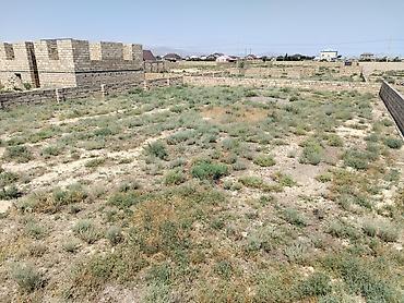 Torpaq sahələrinin satışı: 6 sot, Tikinti, Kupça (Çıxarış) -da lalafo.az — 12 Torpaq sahələrinin satışı: 6 sot, Tikinti, Kupça (Çıxarış) — 12