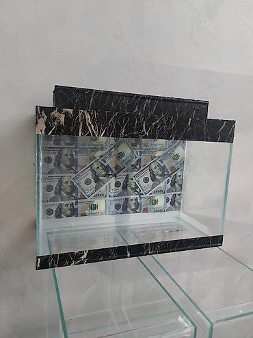 vakum su pompası: Şüşə akvarium – dekorativ “dollar” fonlu - Material: qalın temperli — 2