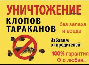 Дезинфекция, дезинсекция: Дезинфекция, дезинсекция, | Клопы, Блохи, Тараканы, | Транспорт, Офисы, Квартиры — 9