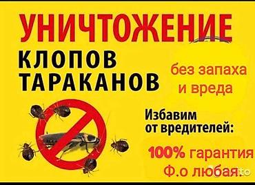 Клининг кызматтары: Дезинфекциялоо, дезинсекциялоо, | Бүргөлөр, Кумурскалар, Чычкандар жана келемиштер, | Кафелер, дүкөндөр, Батирлер, Жертөлө, ороо — 2