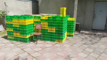 meyvə yeşiyi: Yaşıllı-sarı rəngli plastik yeşiklər, meyvə və tərəvəzlərin yığılması
