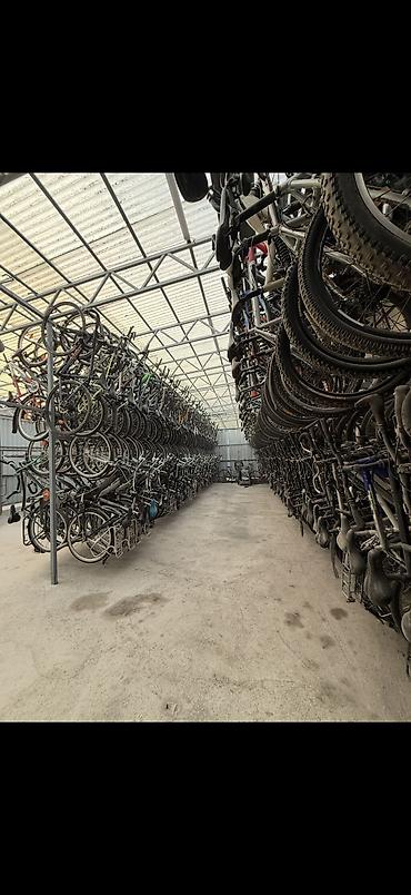 Горные велосипеды: Велосипеды из Германии — выбор из 2000+ моделей - Горные, шоссейные — 8