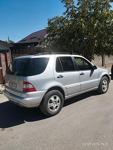 возможен обмен на дом: Mercedes-Benz ML-Class: 2003 г., 2.7 л, Автомат, Дизель, Кроссовер — 6