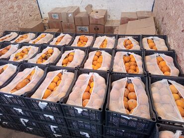 ящик для клубника: Хурма в ящиках оптом - Свежие плоды хурмы, отсортированные и