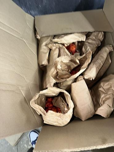 Букеты из живых цветов: Тюльпаны оптом с луковицей, из теплицы - 30 сортов Предоплата — 1