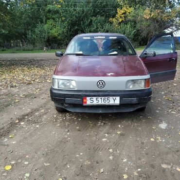 Volkswagen: Volkswagen Beetle (Pre-1998): 1991 г., 1.8 л, Механика, Бензин, Седан