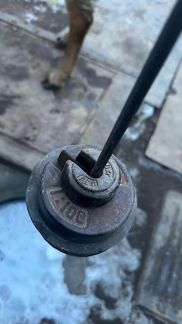 Баран, овца: Продаю | Баран (самец) | Арашан | Для разведения | Племенные — 11