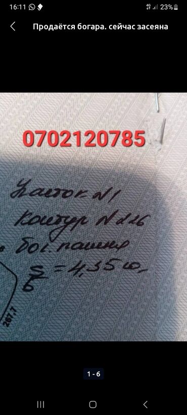 кен сай пост: Продаётся земля засеяна ячмень 60$просим