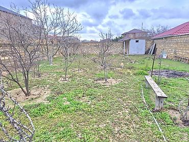 Bağ evlərinin satışı: Sumqayıt, 253 kv. m, 6 otaqlı, Hovuzsuz, Qaz, İşıq, Su — 8