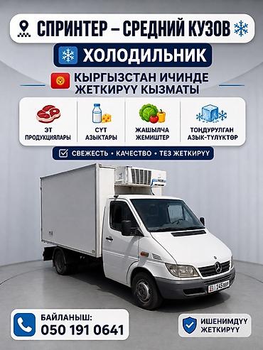 цэпи: Mercedes-Benz Спринтер: 2005 г. — 1