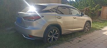 e6 3: Lexus RX: 2019 г., Гибрид, Кроссовер — 4