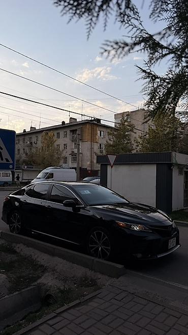тормозной диск камри 55: Toyota Camry: 2019 г., 2.5 л, Автомат, Бензин, Седан — 2