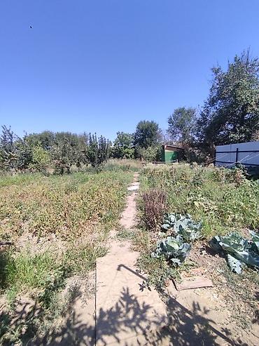 Продажа коттеджей и домов: 📍 В Сокулуке от центра 500 м продается дом на участке 14 соток, Дом — 6