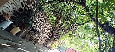 Günlük kirayə mənzillər: 2 otaqlı — 12