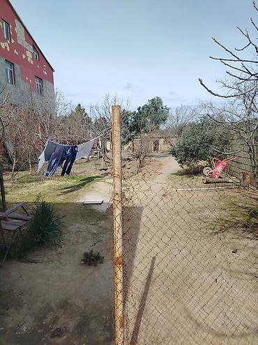 Bağ evlərinin satışı: Digah, 100 kv. m, 6 otaqlı, Hovuzsuz, Su — 6