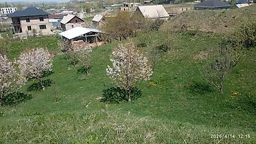 Долгосрочная аренда домов: 220 м², 6 комнат — 15