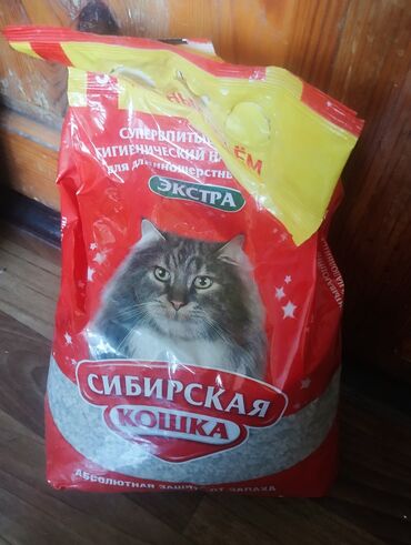 живой вес: Отдам бесплатно. Наполнитель .
г. Ош