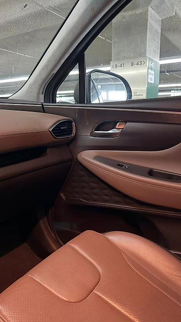 Hyundai: Hyundai Santa Fe: 2019 г., 2 л, Бензин — 14