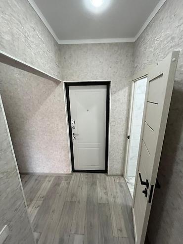 52: 1 комната, 53 м², Технопарк Элитка, 6 этаж, Евроремонт — 7