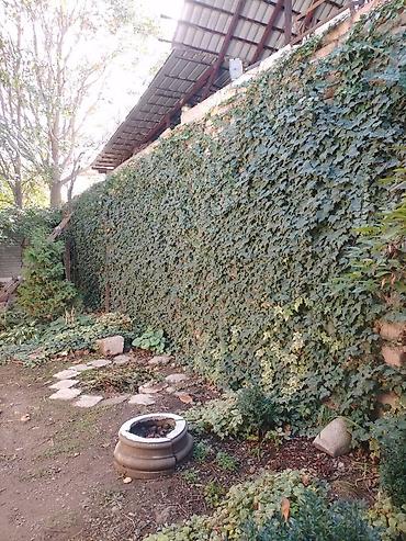 Продажа коттеджей и домов: Продаем теплый современный просторный дом 70кв.м., р-н — 19