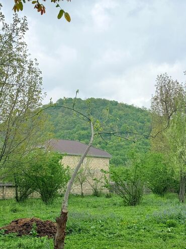Torpaq sahələrinin satışı: 15 sot, Tikinti, Mülkiyyətçi, Kupça (Çıxarış) — 2