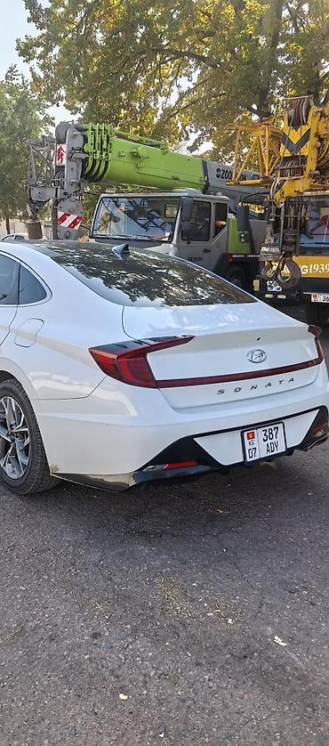 lexus es 2002: Hyundai Sonata: 2020 г., 2 л, Автомат, Бензин, Седан — 2