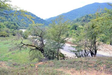 Torpaq sahələrinin satışı: 80 sot, Biznes üçün, Barter mümkündür, Kupça (Çıxarış) — 2