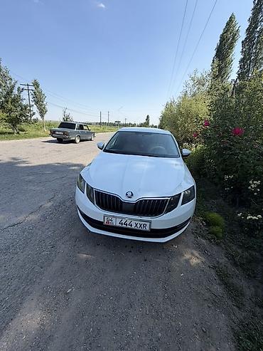 авто полироль: Skoda Octavia: 2018 г., 1.6 л, Автомат, Бензин, Седан — 1