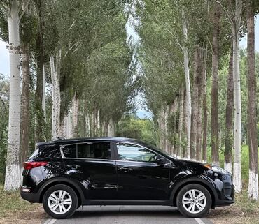 шины hankook бу: Kia Sportage: 2019 г., 2.4 л, Автомат, Бензин, Кроссовер