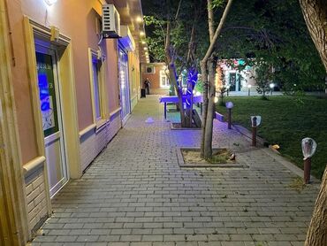 Kirayə torpaq sahələri: 28 sot — 5