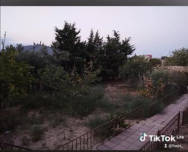 evimiz: Satılır: həyət evi və torpaq sahəsi - Geniş zal: böyük pəncərələr — 4