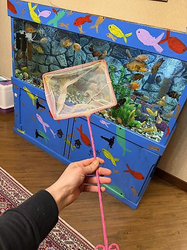Akvariumlar: Продается аквариум 2 м с рыбами все вместе рыбы декор и — 12