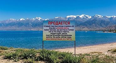 6 соток, Курулуш, Кызыл китеп — 1