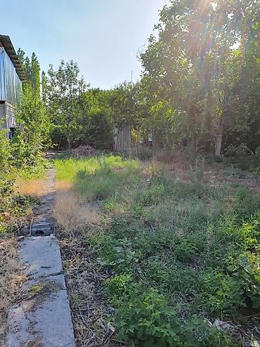 Продажа дач: Жайыл району.Сосновка тарапта 14 сот. (3 дача 14 сот.) сатылат.уй — 14