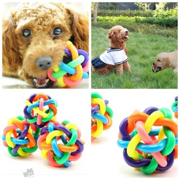 Зоотовары: Продаю приспособление для выращивания травы для животных и людей(в — 12