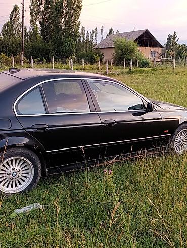 crown athlete 3 5: BMW 525: 2000 г., 2.5 л, Автомат, Бензин, Седан — 1