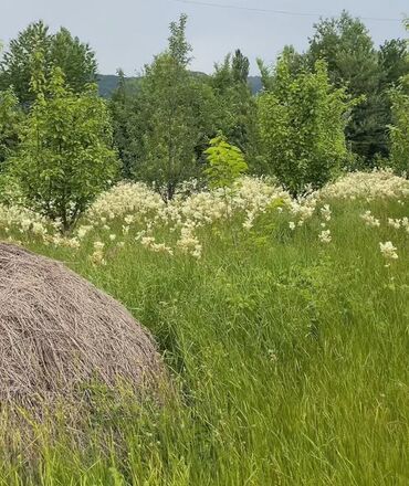 bine torpaq satilir: 83 соток, Для строительства, Собственник, Купчая