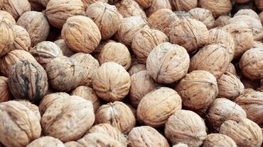Сухофрукты, орехи, снеки: Продам грецкие орехи, ядра коричневые, 50сом килограмм
в наличии 130кг