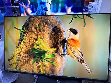 2023: Телевизоры yasin 55q90 140 см 55" 4k Срочная акция (google tv) - — 2