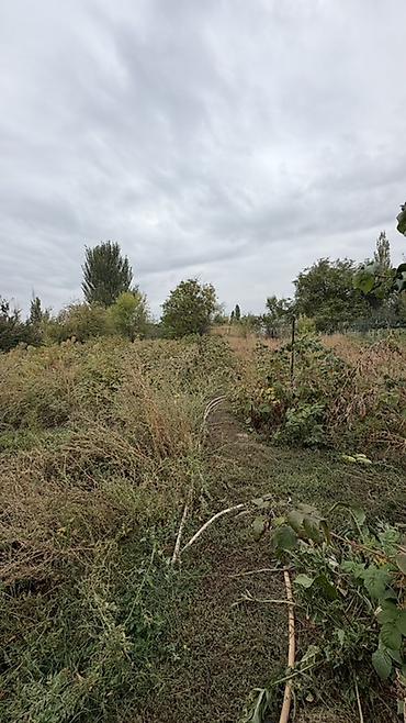 Үйлөрдү сатуу: 6 бөлмө жана андан көп, 90 м², 19 соток, Сокулук, Кыймылсыз мүлк агенттиги — 3