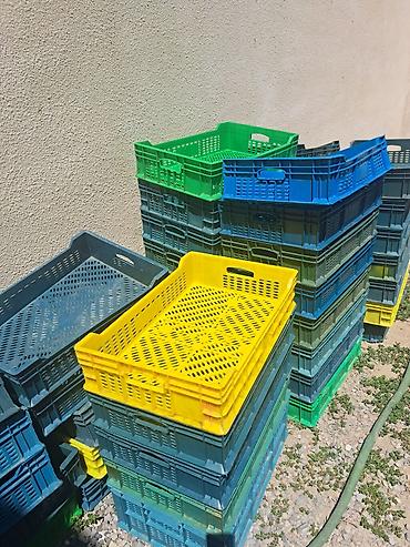 Qab-qacaq və mətbəx ləvazimatları: Məhsul: Plastmas meyvə-tərəvəz yeşikləri (ventilyasiya dəlikli, yığma) — 1