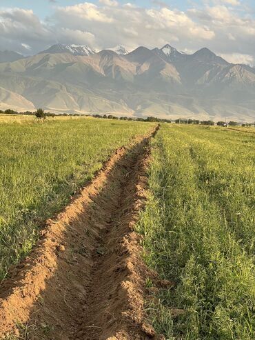 земля пахотная: Для сельского хозяйства, Договор купли-продажи